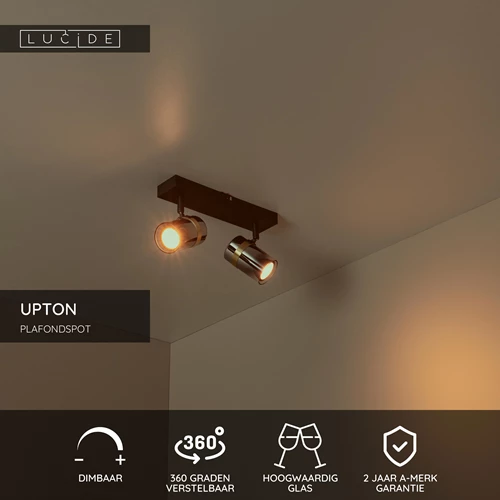 Lucide UPTON - Plafondspot - 2xGU10 - Fumé - USP